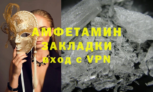 гидра Богородицк