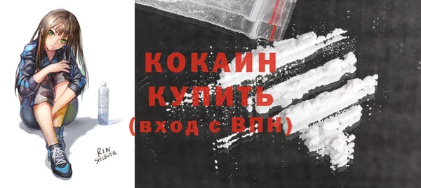 спиды Богданович
