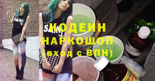 гидра Богородицк