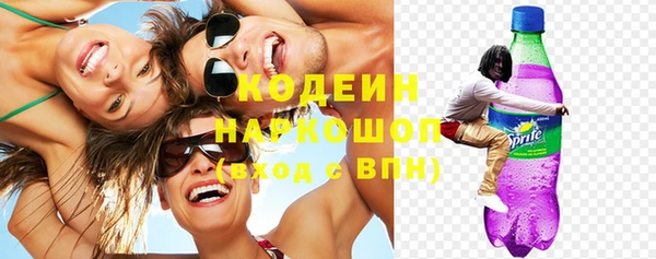 гидра Богородицк