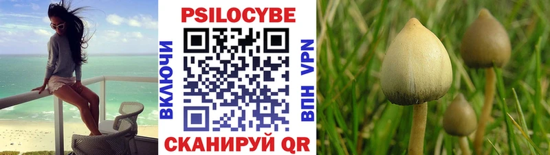 купить закладку  ОМГ ОМГ вход  Псилоцибиновые грибы мицелий  Горнозаводск 